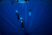 Load image into Gallery viewer, Freediver Certification Course